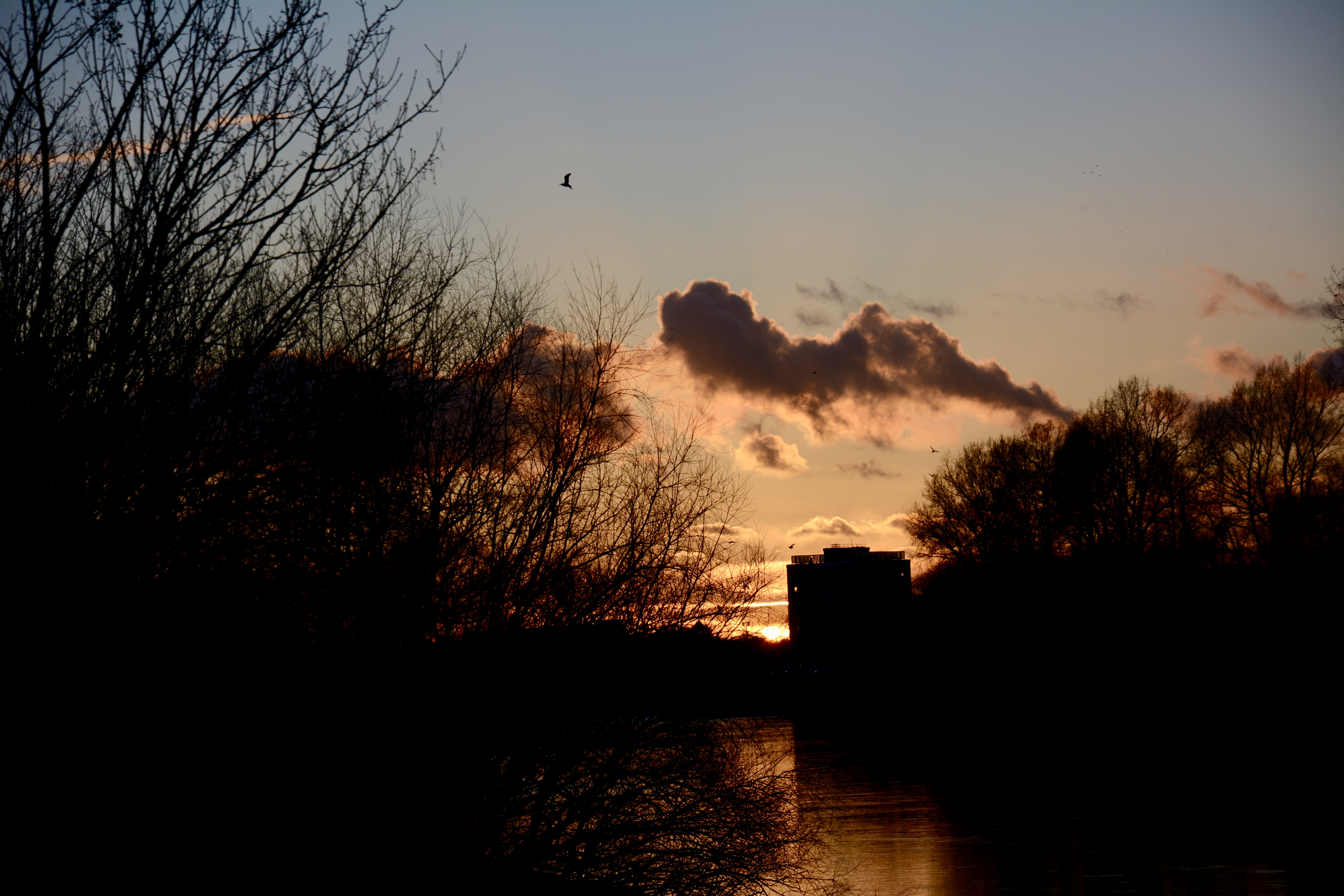 Sunset on the towpath along the Thames in Richmond.